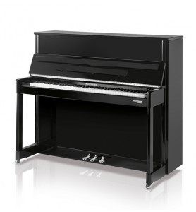 Photo W. Hoffmann Professional P126